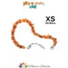 PETAMBER - Collare per cani taglia XS - 30-40 CM
