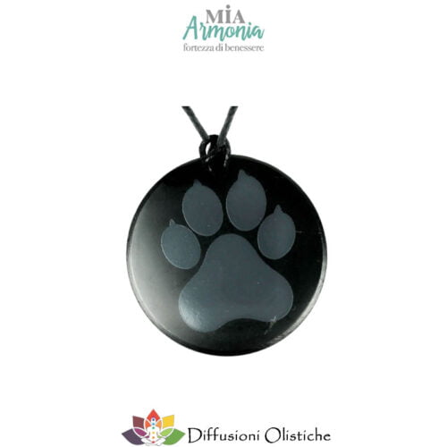 SHUNGITE T2 - Ciondolo PAW