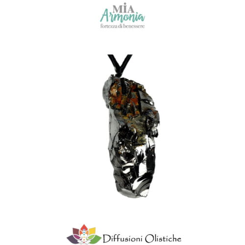 SHUNGITE T1 - Ciondolo ELITE